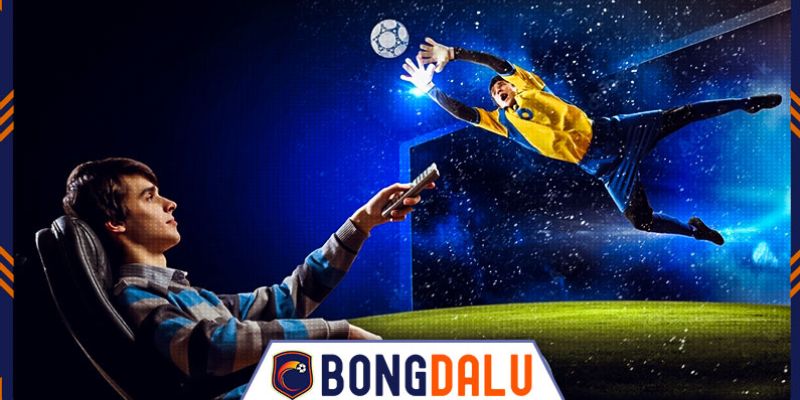 Bongdalu - Cập nhật tin tức bóng đá trực tiếp